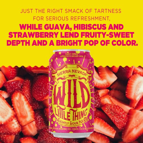 Sierra Nevada Wild Little Thing Slightly Sour Ale Beer Perspective: back