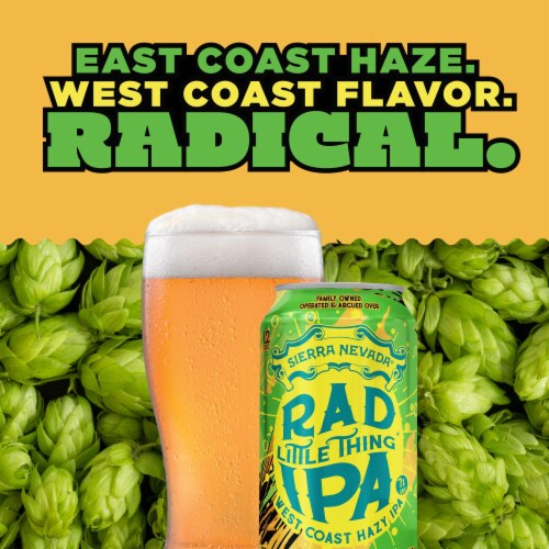 Sierra Nevada Dank Little Thing Hazy IPA Craft Beer Perspective: back