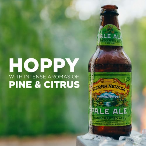 Sierra Nevada Pale Ale Craft Beer Perspective: back