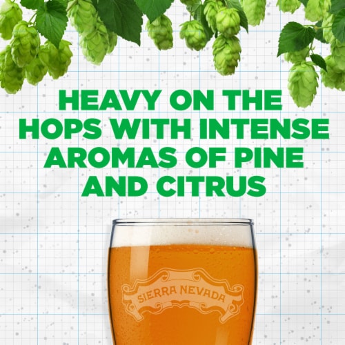 Sierra Nevada® Brewing Co. Pale Ale Single Bottle Perspective: back