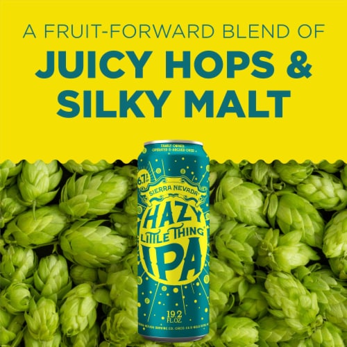 Sierra Nevada Brewing Co. Hazy Little Thing IPA Beer Single Can Perspective: back