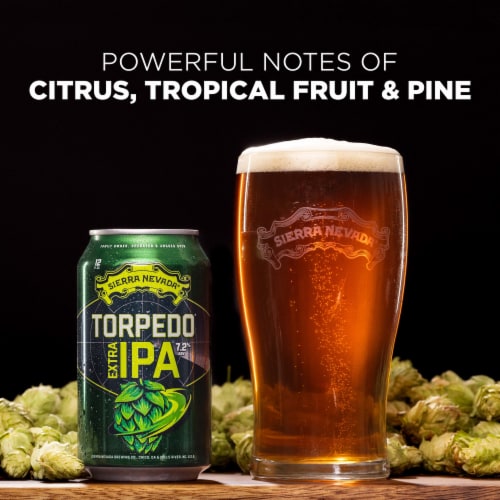 Sierra Nevada Torpedo Extra IPA Craft Beer Perspective: back