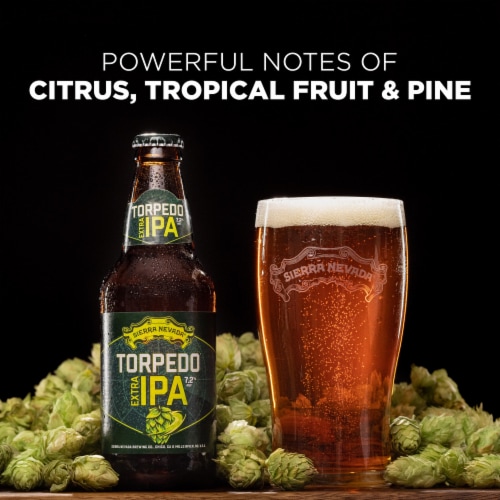 Sierra Nevada Torpedo Extra IPA Craft Beer Perspective: back