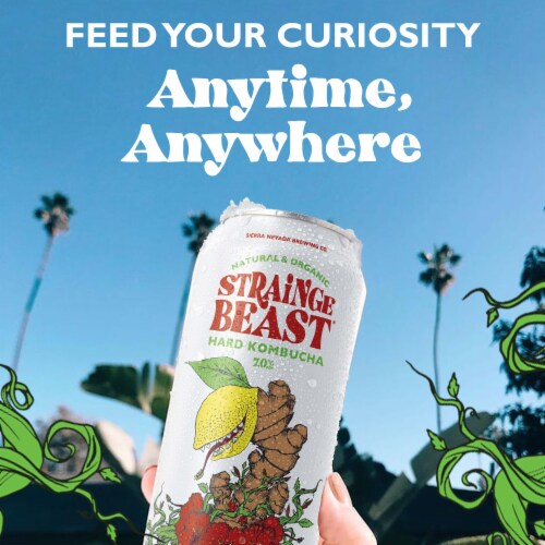Strainge Beast Ginger Lemon & Hibiscus Hard Kombucha Single Can Perspective: back