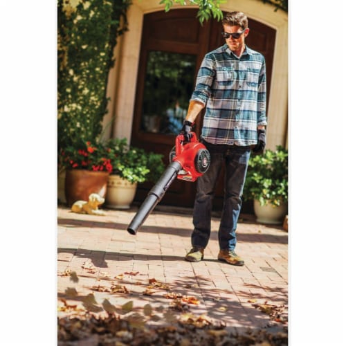 Troy Bilt 2-Cycle Blower Perspective: back
