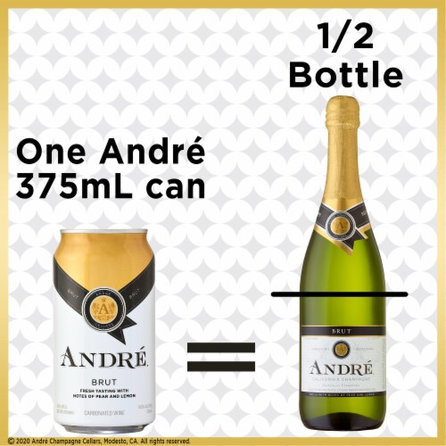 Andre Brut Champagne California Sparkling Wine Can Perspective: back