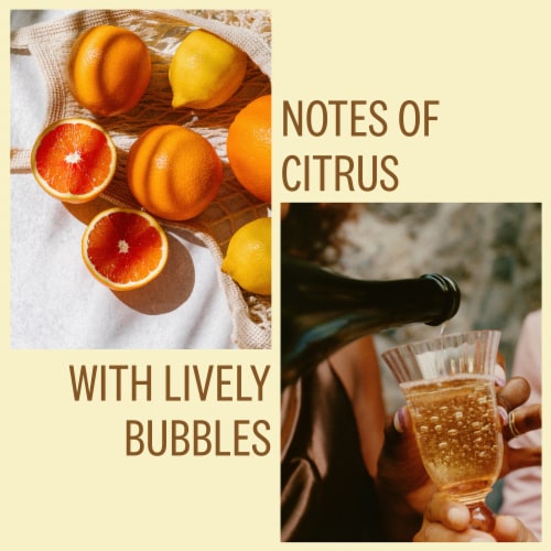 Viarae™ Prosecco Italian Sparkling Wine Perspective: back