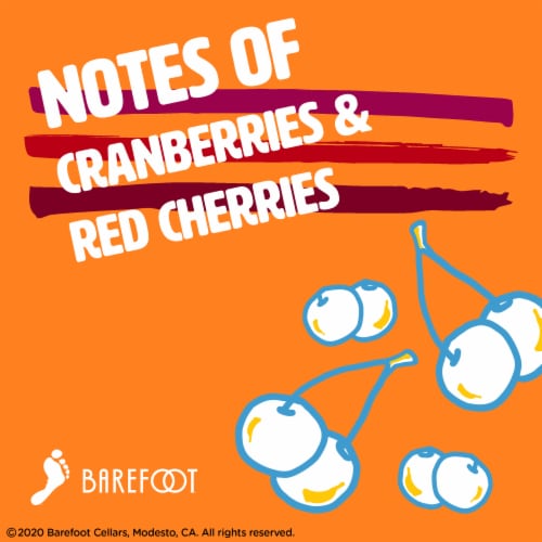 Barefoot Hard Seltzer Cherry and Cranberry Wine Cans Perspective: back