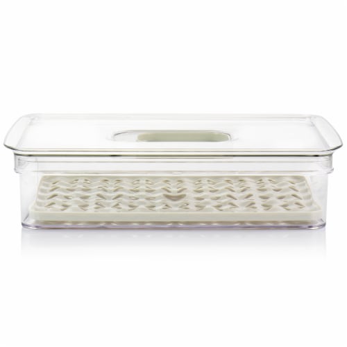 Martha Stewart Flat Fresh Keeper Container Set Perspective: back