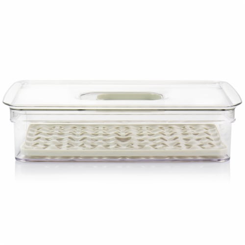 Martha Stewart Fresh Keeper, Plastic, Large