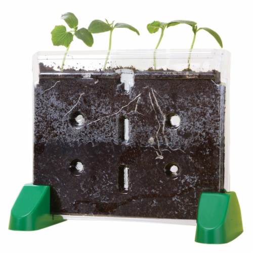 Educational Insights Sprout & Grow Window Perspective: back
