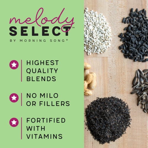 Morning Song® Melody Select™ Waste Free Nut & Fruit Bird Food Perspective: back