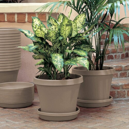 Bloem 8 In. Dia. Pebble Stone Poly Classic Flower Pot TR0883 Perspective: back