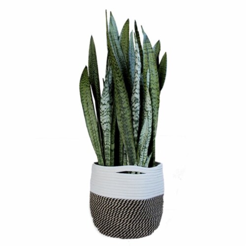 Bloem 10 in. D Fabric BloemBagz Planter Bag Black/White