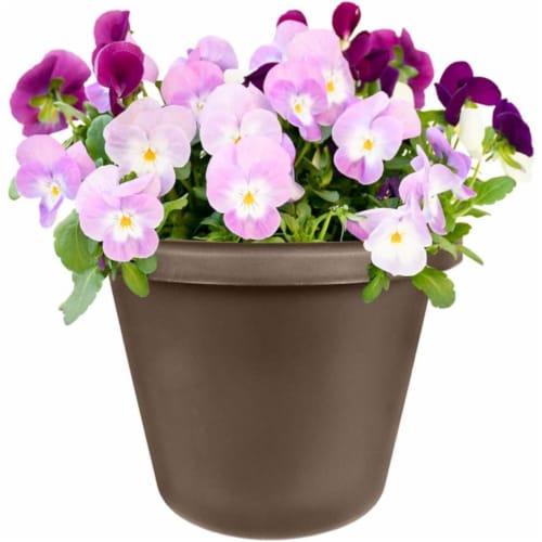 Bloem 450105-1001 10 in. Terra Pot Planter, Chocolate Perspective: back