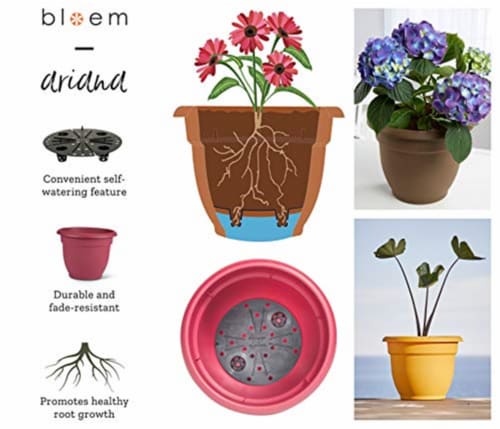 Bloem 20-56420 20 in. Ariana Planter with Self Watering Grid, Living Green Perspective: back