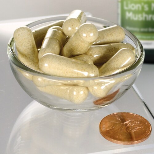 Swanson Lion's Mane Mushroom Support Brain & Nervous System 500mg ...