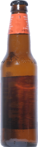 Samuel Adams Rebel IPA Perspective: back