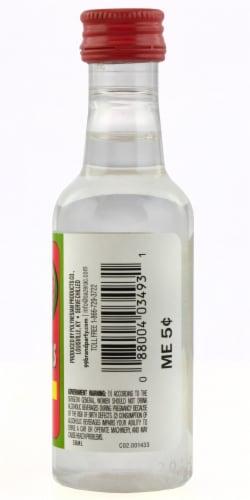 99® Brand Watermelons Liqueur Perspective: back