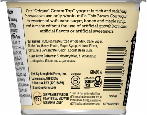 Brown Cow Cream Top Blueberry Whole Milk Yogurt Cup Perspective: back