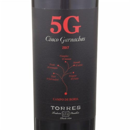 Torres 5G Cinco Garnachas Garnacha Spanish Red Wine Perspective: back