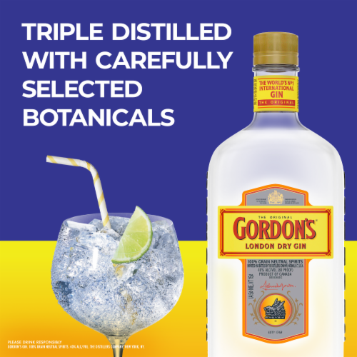 Gordon's London Dry Gin Perspective: back