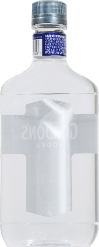 Gordon's Exceptional Blend (Vodka with Natural Flavors) Perspective: back