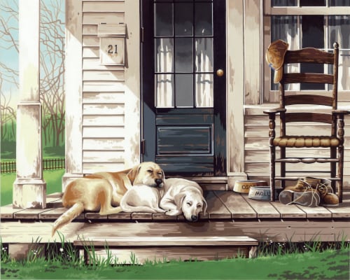 Dimensions® PaintWorks™ Lazy Dog Day Paint by Number Kit Perspective: back