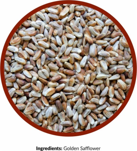 Lyric 5 Lb. Golden Safflower Wild Bird Seed 2647430 Perspective: back
