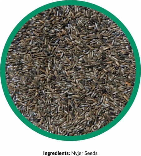 Lebanon Seaboard GRV2647427 Seed Perspective: back