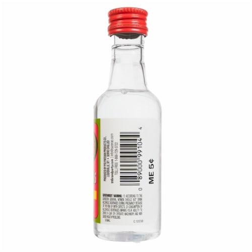 99 Brand Watermelon Liqueur Perspective: back