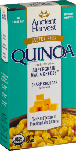 Cheese