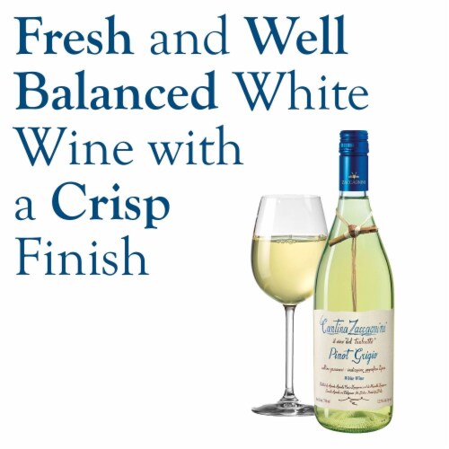 Cantina Zaccagnini Pinot Grigio White Wine Perspective: back