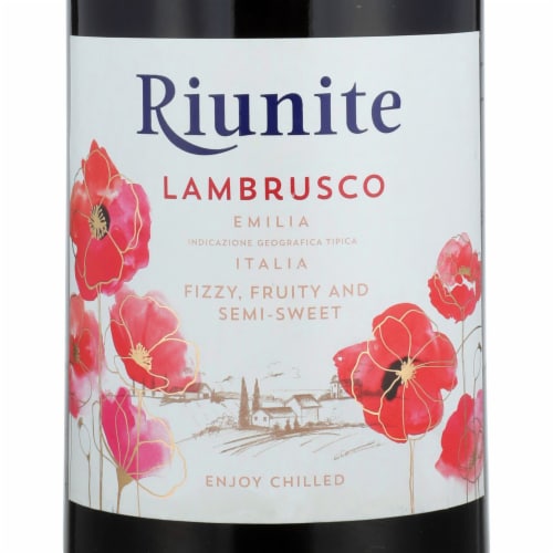 Riunite Lambrusco Semi-Sparkling Italian Red Wine Perspective: back