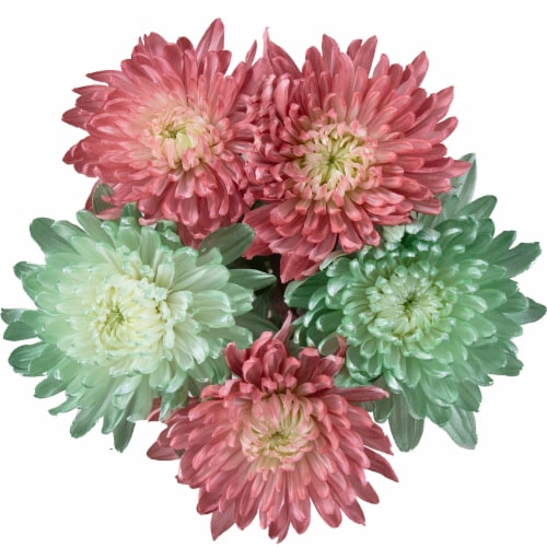 Mother's Day Metallic Disbuds Fresh Flower Bouquet Perspective: back