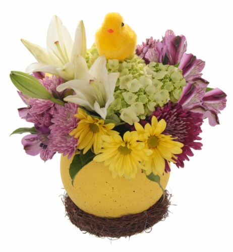 Just Hatched Arrangement - Assorted Perspective: back