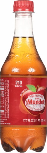 Sidral Mundet Naturally Flavored Apple Soda Perspective: back