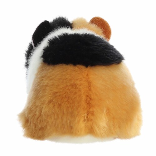 Aurora Small Multicolor Miyoni 7.5inches American Guinea Pig Realistic ...