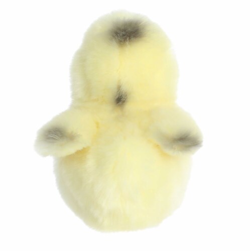 Aurora Small Yellow Miyoni Tots 5.5inches Ameraucana Chick Adorable ...
