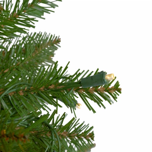 Northlight 7.5' Pre-Lit Green Medium Northern Pine Artificial Christmas Tree - Warm Clear LED Perspective: back