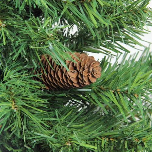 Northlight 3' Medium Dakota Pine Artificial Christmas Tree, Unlit Perspective: back