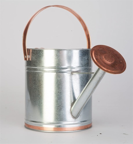 Panacea Copper/Silver 2 gal Galvanized Steel Watering Can Perspective: back