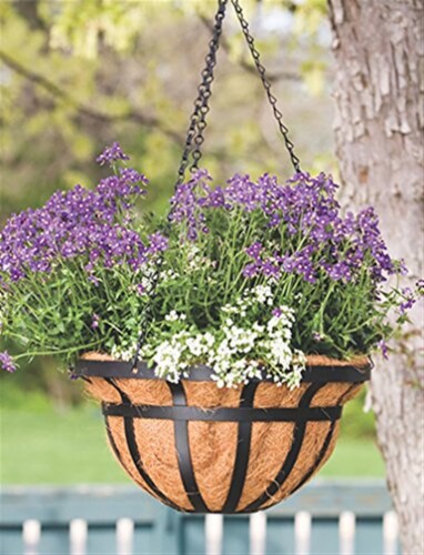 Living Accents Steel Hanging Basket Black