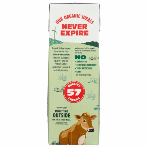 Organic Valley® Real Dairy Sweet Cream Creamer Perspective: back