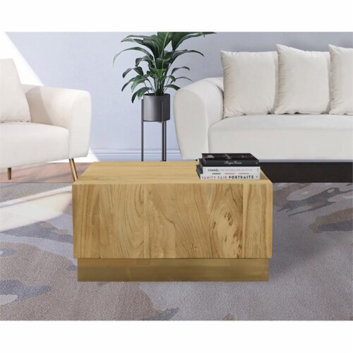 Meridian Furniture Acacia Square Coffee Table - Gold Meridian Furniture Acacia Square Coffee Table - Gold