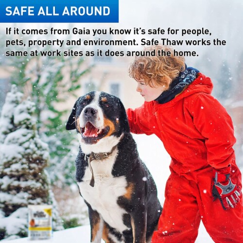 Safe Thaw Industrial Strength Ice Melt, 30 lb Flexicube Perspective: back