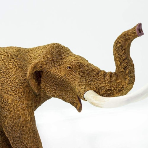 American Mastodon Toy Perspective: back