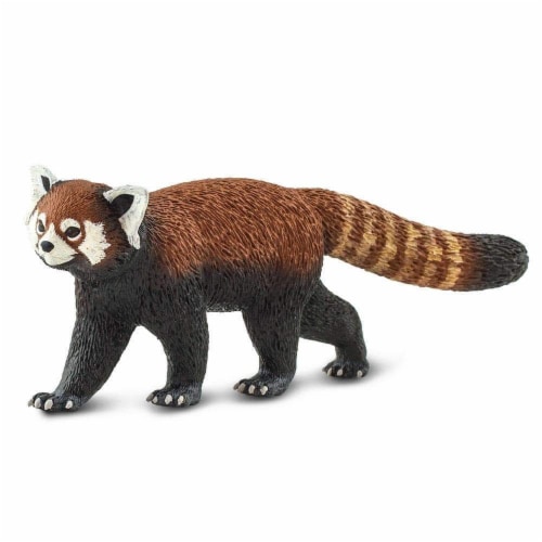 Red Panda Perspective: back