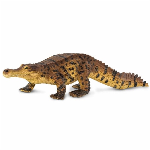 Sarcosuchus Toy Perspective: back