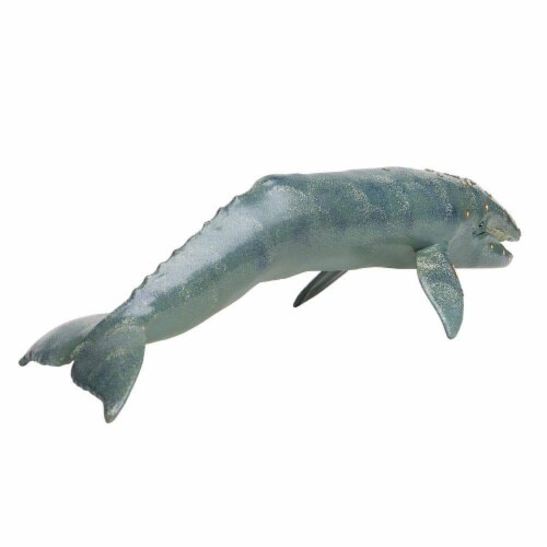 Gray Whale Toy Perspective: back